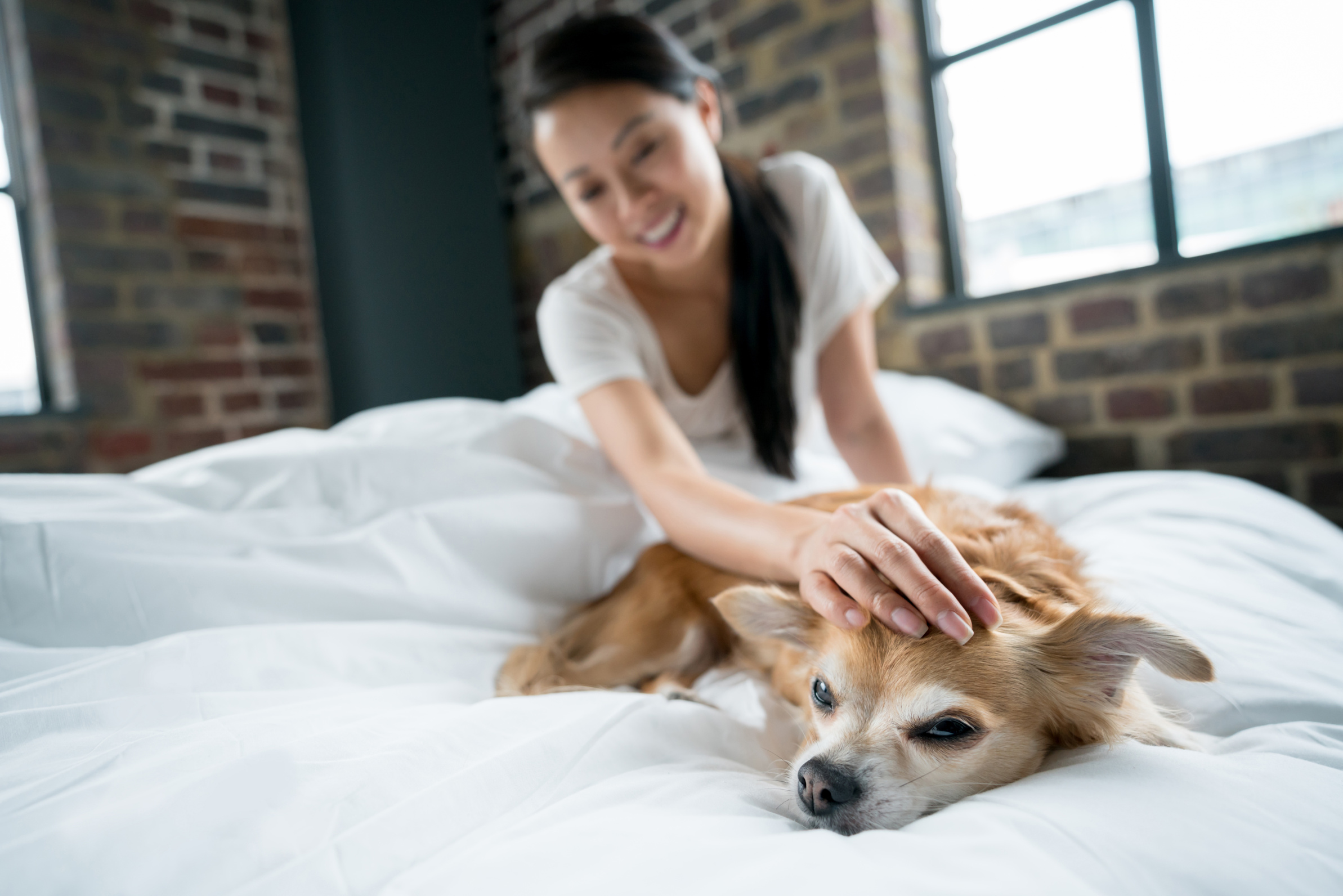 Asian woman pampering her dog at home